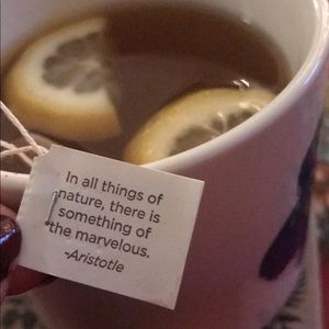 Meet your Posher, Kirsten